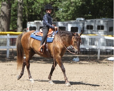 Horse Training at The Ranch OutBack